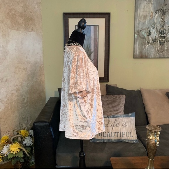 LUCKY BRAND NWT Champagne Crushed Velvet Flutter Sleeve Top 2X - Picture 6 of 8